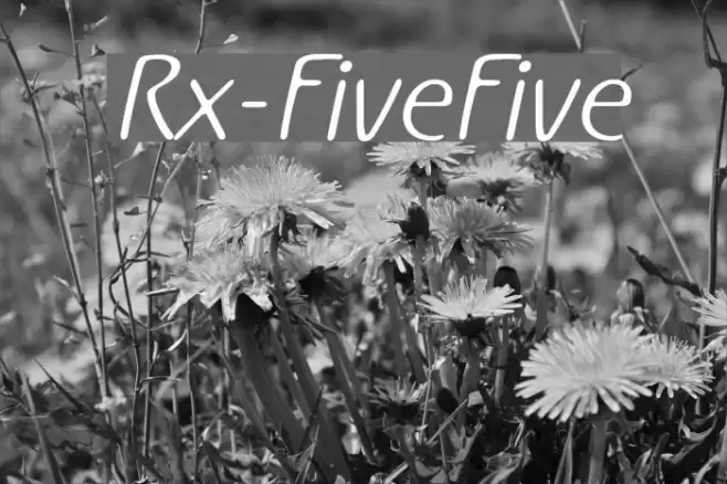 Rx-FiveFive Fonte examples
