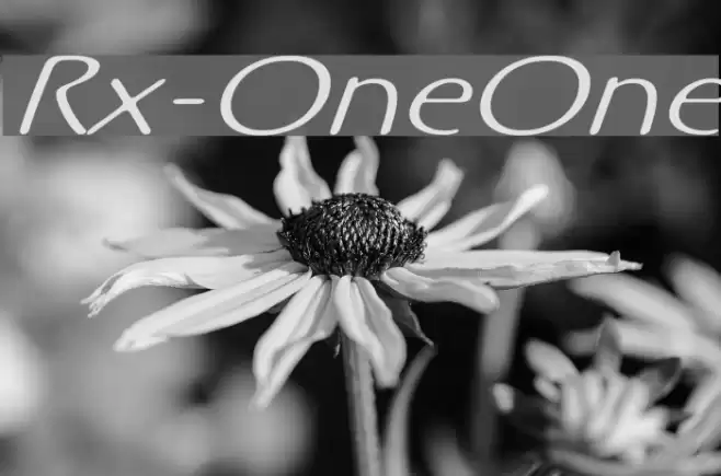 Rx-OneOne フォント examples