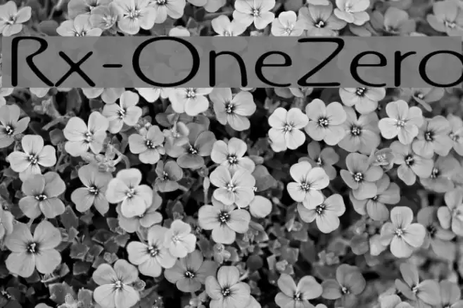 Rx-OneZero Font examples