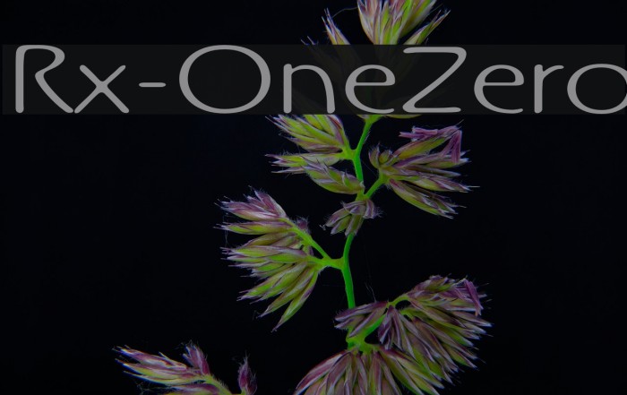 Rx-OneZero Font examples