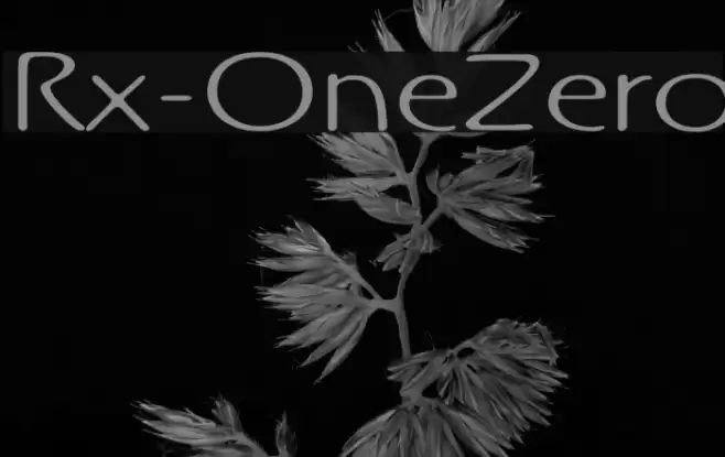 Rx-OneZero Font examples