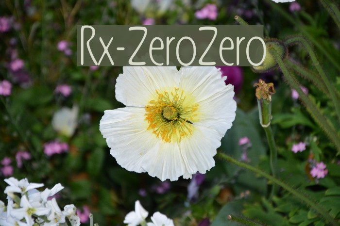 Rx-ZeroZero Fonte examples