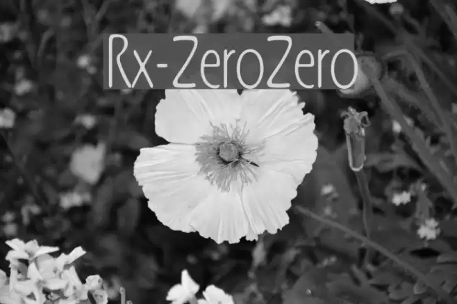 Rx-ZeroZero Fonte examples