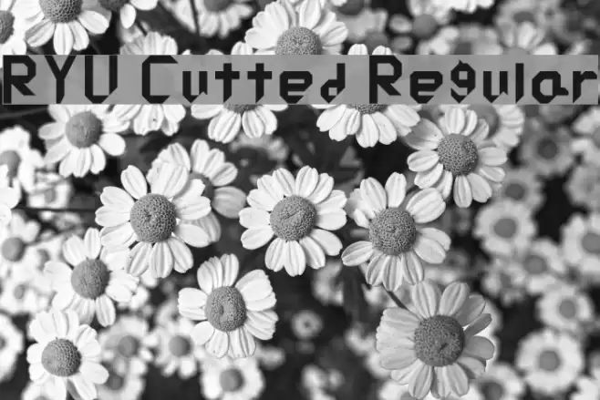 RYU Cutted Regular Font examples