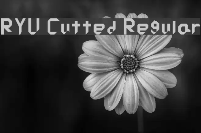 RYU Cutted Regular Font examples