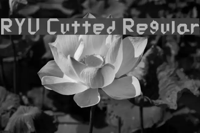 RYU Cutted Regular Font examples