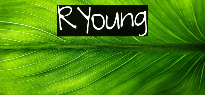 RYoung Example 1
