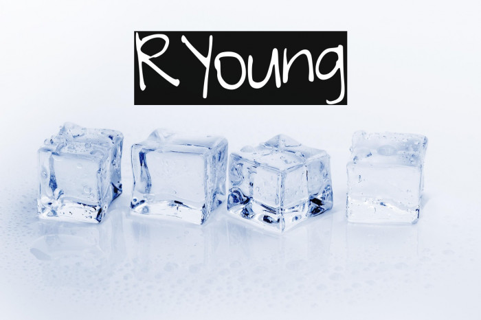 RYoung Example 2