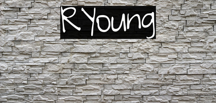 RYoung Example 3