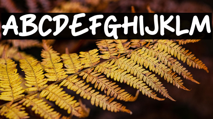 Ryana Lovely Example 3