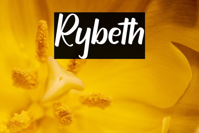 Rybeth Example 3