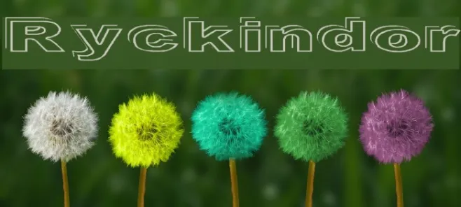 Ryckindor Example 1