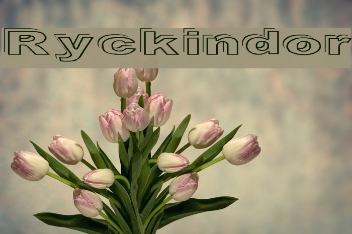 Ryckindor Font examples