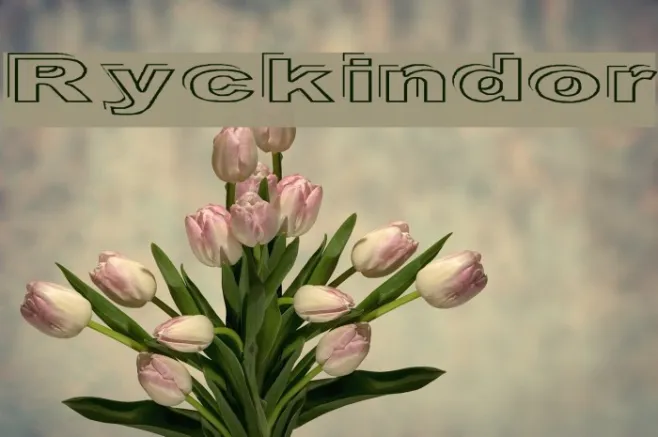 Ryckindor Example 3