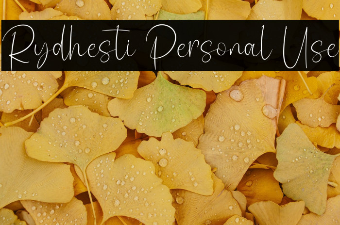 Rydhesti Personal Use Example 2