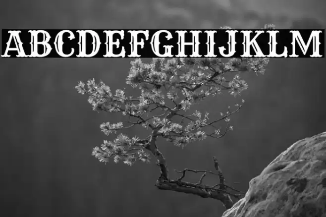 Rye Regular Font examples