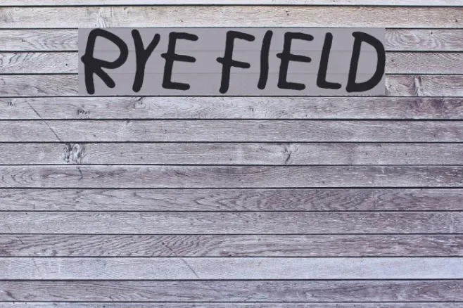 Rye field Example 3