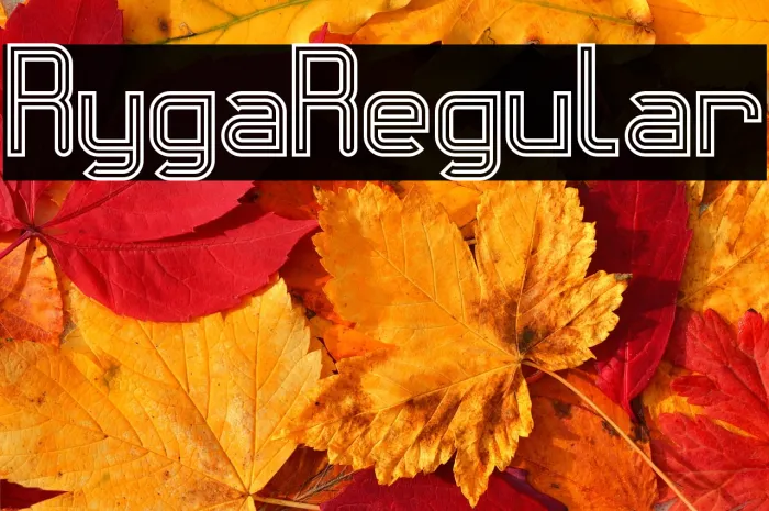 Ryga Regular Example 2