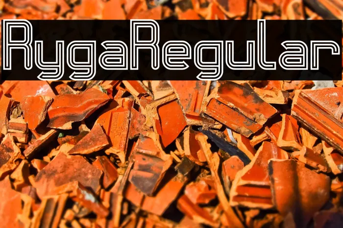 Ryga Regular Example 3