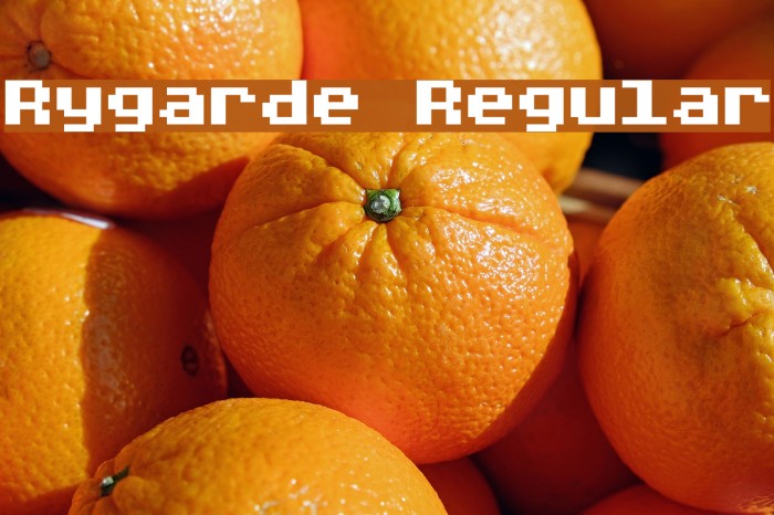 Rygarde Regular Font examples