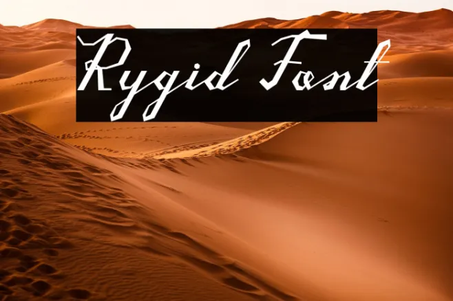 Rygid Example 1