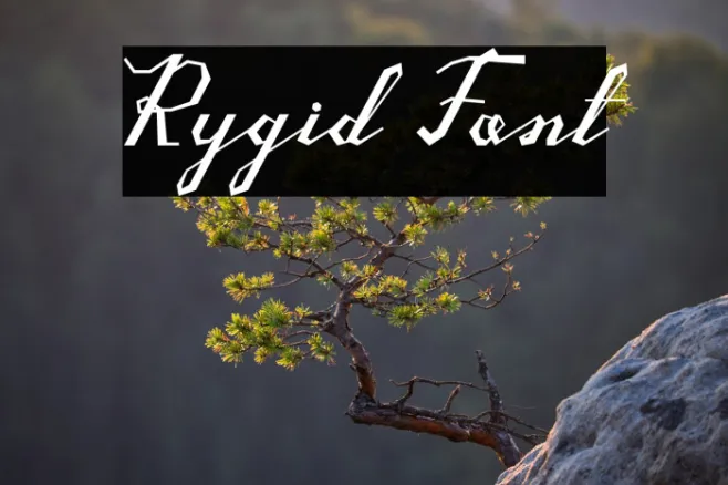 Rygid Example 2
