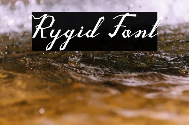 Rygid Example 3