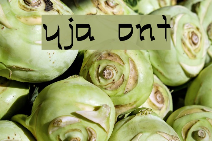 Ryja Font examples