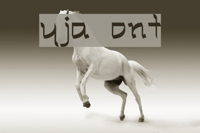 Ryja Font examples