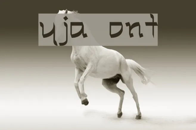Ryja Example 2
