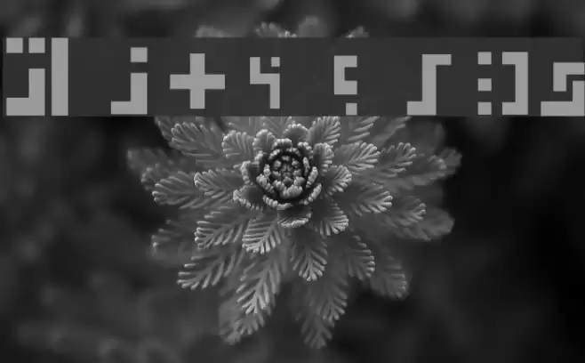 Rylodian Font examples