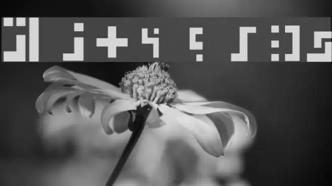 Rylodian Font examples