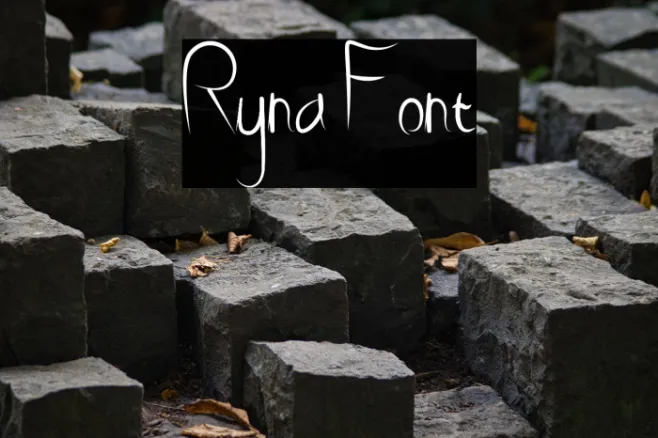 Ryna Example 1