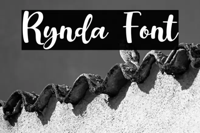 Rynda Caratteri examples