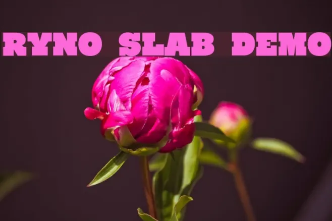 Ryno Slab [Demo] Example 1