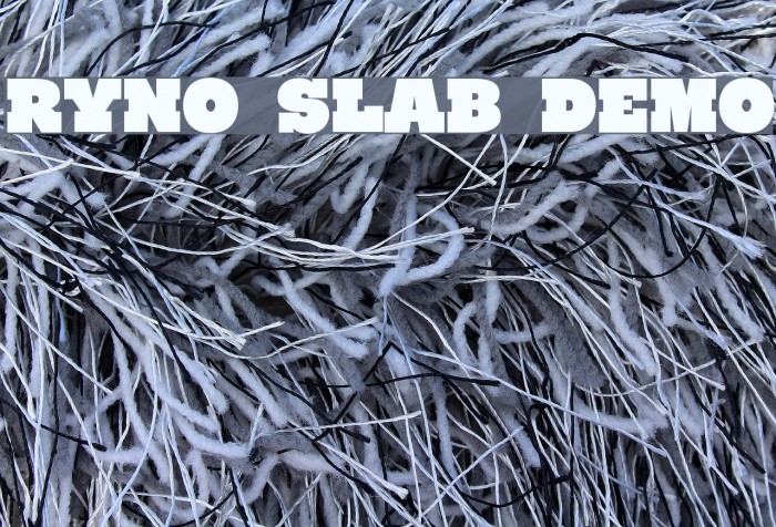 Ryno Slab [Demo] Example 3