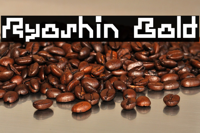 Ryoshin Bold Example 1