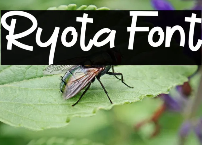 Ryota Example 2