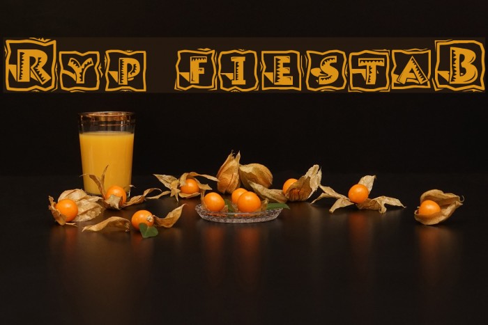 Ryp fiestaB Font examples