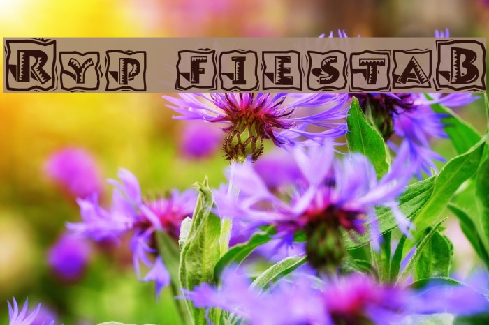 Ryp fiestaB Font examples