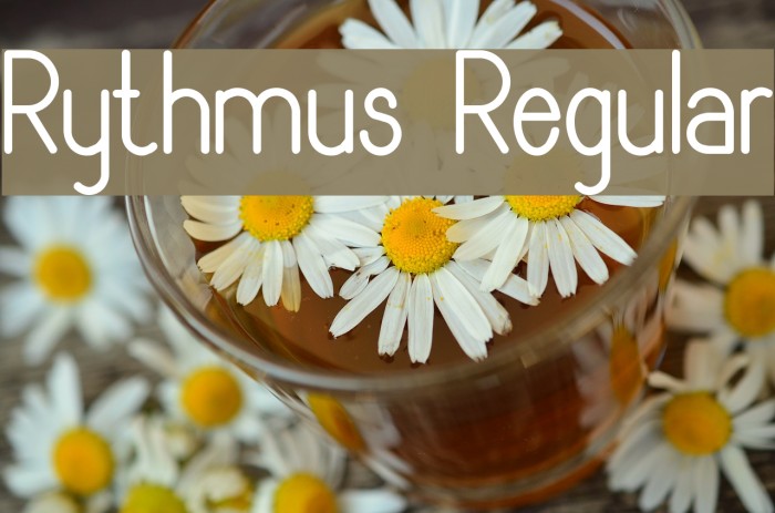 Rythmus Regular Font examples