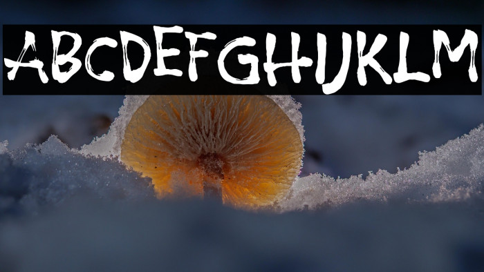 Ryujin Attack Example 2