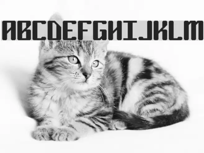 Ryuker BRK Font examples