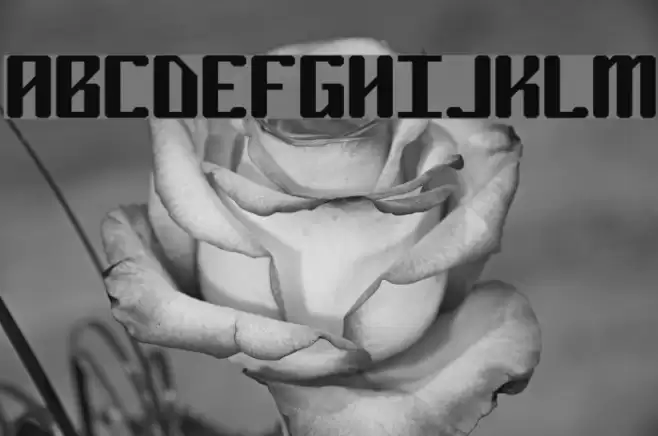 Ryuker BRK Font examples