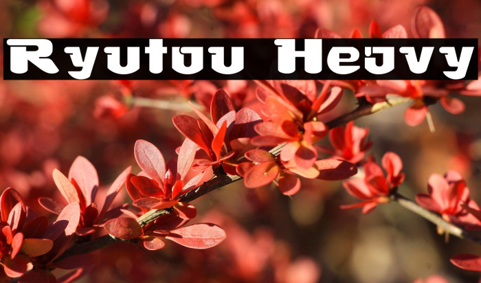 Ryutou Heavy Example 2