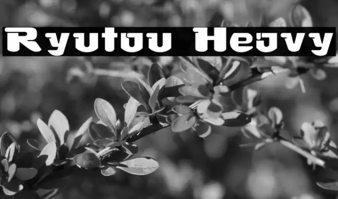 Ryutou Heavy Font examples