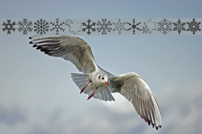 ryp_sflake7 Example 1