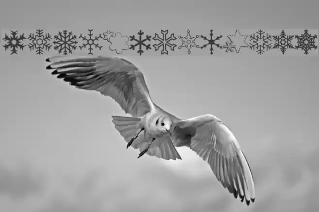 ryp_sflake7 Font examples