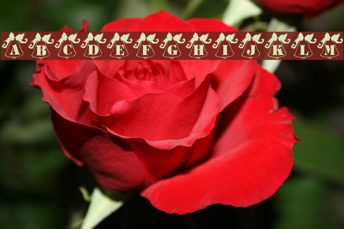 ryp_xmasbells Font examples
