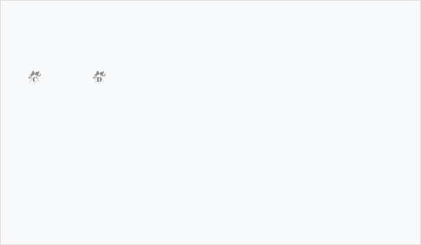 ryp_xmasbells Business Card